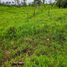  Terreno (Parcela) en venta en San Miguel de los Bancos, Pichincha, San Miguel De Los Bancos, San Miguel de los Bancos