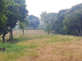  Grundstück zu verkaufen in Calatagan, Calabarzon, Calatagan, Batangas