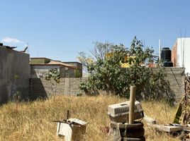  Land for sale in Del Centro, Oaxaca, Del Centro