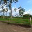  Land for sale in Valle Del Cauca, Ulloa, Valle Del Cauca