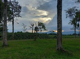  Terreno (Parcela) en venta en Ulloa, Valle Del Cauca, Ulloa