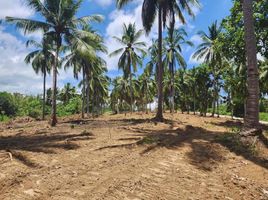  Terrain for sale in Orani, Bataan, Orani