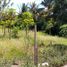  Land for sale in Cavite, Calabarzon, Tagaytay City, Cavite