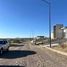  Land for sale in Lagos De Moreno, Jalisco, Lagos De Moreno