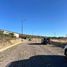  Land for sale in Lagos De Moreno, Jalisco, Lagos De Moreno