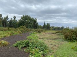  Land for sale in Nuble, Pemuco, Diguillin, Nuble