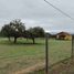  Terreno (Parcela) en venta en Chile, Pumanque, Colchagua, Libertador General Bernardo O'Higgins, Chile