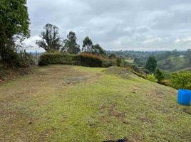  Land for sale in Rionegro, Antioquia, Rionegro