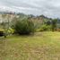  Land for sale in Rionegro, Antioquia, Rionegro