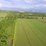  Terrain for sale in Anapoima, Cundinamarca, Anapoima