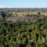  Terreno (Parcela) en venta en Llanquihue, Los Lagos, Fresia, Llanquihue