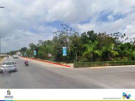 Terrain à vendre à Cozumel, Quintana Roo, Cozumel