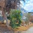  Land for rent in San Agustin Tlaxiaca, Hidalgo, San Agustin Tlaxiaca, Hidalgo