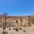  Land for sale in Coquimbo, Coquimbo, Elqui, Coquimbo