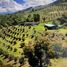 3 Bedroom Villa for sale in Salento, Quindio, Salento