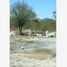  Terreno (Parcela) en venta en Santiago, Nuevo León, Santiago, Nuevo León