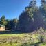  Terreno (Parcela) en venta en Biobío, Los Angeles, Biobío, Biobío