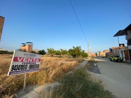  Grundstück zu verkaufen in Piura, Piura, Piura, Piura, Piura