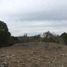  Terreno (Parcela) en venta en Araucanía, Freire, Cautín, Araucanía