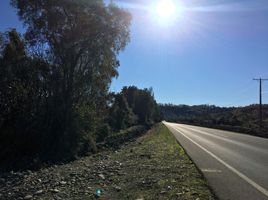  Terreno (Parcela) en venta en Araucanía, Freire, Cautín, Araucanía