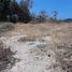  Land for sale in Dist Pochutla, Oaxaca, Dist Pochutla