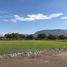  Land for sale in Temixco, Morelos, Temixco