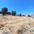  Terreno (Parcela) en venta en Tlahuac, Ciudad de México, Tlahuac