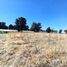  Land for sale in Tlahuac, Mexico City, Tlahuac