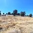  Land for sale in Tlahuac, Mexico City, Tlahuac