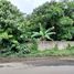  Grundstück zu verkaufen in Muntinlupa City, Metro Manila, Muntinlupa City