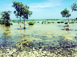  Terrain for sale in Puerto Princesa City, Palawan, Puerto Princesa City