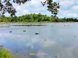  Land for sale in Quezon, Calabarzon, Padre Burgos, Quezon