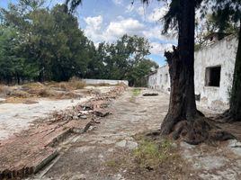  Terreno (Parcela) en venta en San Andres Cholula, Puebla, San Andres Cholula, Puebla
