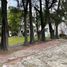  Terreno (Parcela) en venta en San Andres Cholula, Puebla, San Andres Cholula, Puebla