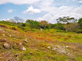  Terreno (Parcela) en venta en Ibague, Tolima, Ibague