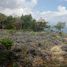  Land for sale in Alcoy, Central Visayas, Alcoy