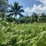  Land for sale in Balamban, Central Visayas, Balamban