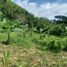  Land for sale in Balamban, Central Visayas, Balamban