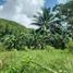  Land for sale in Balamban, Central Visayas, Balamban