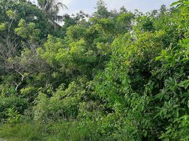  Land for sale in Dauis, Bohol, Dauis