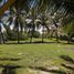  Land for sale in Petatlan, Guerrero, Petatlan