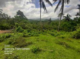  Grundstück zu verkaufen in Cebu, Central Visayas, Balamban, Cebu, Central Visayas