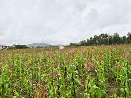  Terrain for sale in Malchingui, Pedro Moncayo, Malchingui