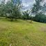  Land for sale in Alfonso, Calabarzon, Alfonso