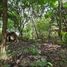  Land for sale in Davao City, Davao, Davao City, Davao del Sur