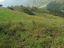  Villa en venta en Angelopolis, Antioquia, Angelopolis