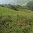  Villa for sale in Angelopolis, Antioquia, Angelopolis