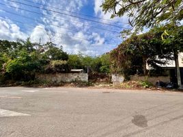  Grundstück zu verkaufen in Merida, Yucatan, Merida, Yucatan