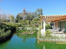  Grundstück zu verkaufen in Atlixco, Puebla, Atlixco, Puebla