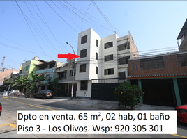 2 Schlafzimmer Appartement zu verkaufen in Los Olivos, Lima, Los Olivos, Lima, Lima